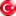 Türkçe